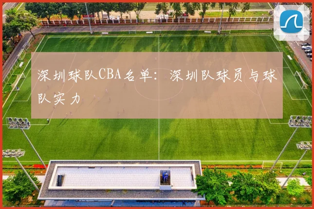 深圳球队CBA名单：深圳队球员与球队实力