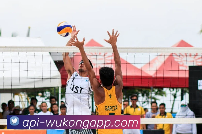 悟空体育APP 体育赛事宣传图